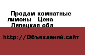    Продам комнатные лимоны › Цена ­ 1 500 - Липецкая обл.  »    